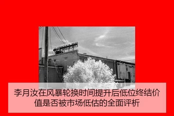 李月汝在风暴轮换时间提升后低位终结价值是否被市场低估的全面评析