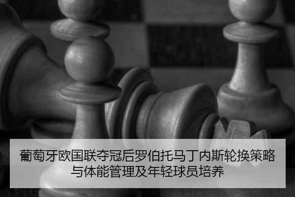 pu-tao-ya-ou-guo-lian-duo-guan-hou-luo-bo-tuo-ma-ding-nei-si-lun-huan-ce-lve-yu-ti-neng-guan-li-ji-nian-qing-qiu-yuan-2-588.jpg