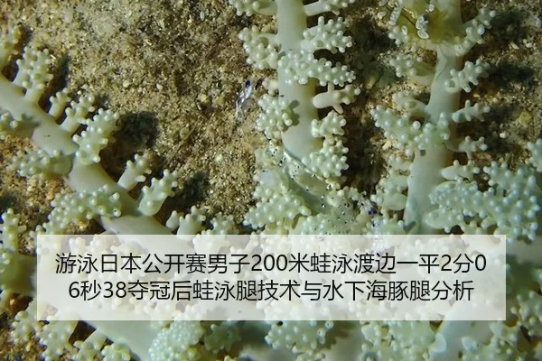 you-yong-ri-ben-gong-kai-sai-nan-zi-mi-wa-yong-du-bian-yi-ping-fen-miao-duo-guan-hou-wa-yong-tui-ji-shu-yu-shui-xia-hai-2-360.jpg