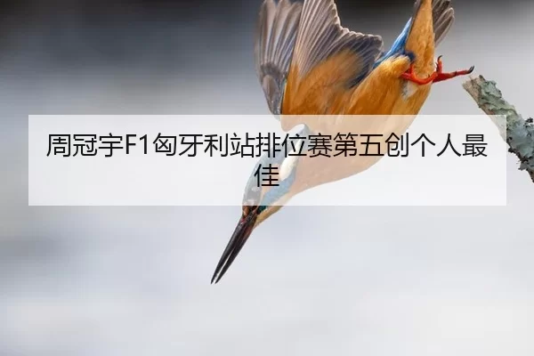 zhou-guan-yu-xiong-ya-li-zhan-pai-wei-sai-di-wu-chuang-ge-ren-zui-jia-2-917.jpg