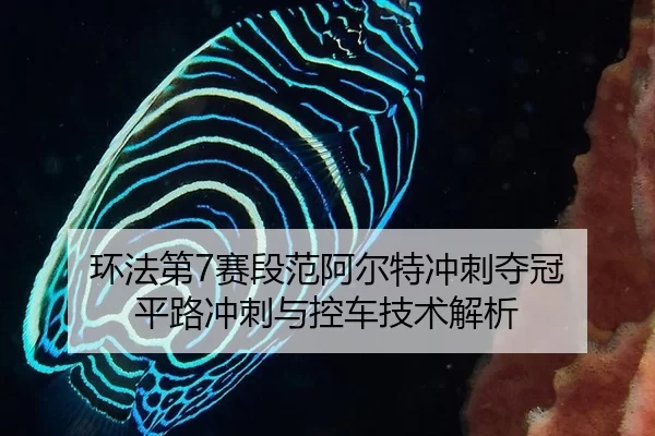 环法第7赛段范阿尔特冲刺夺冠 平路冲刺与控车技术解析