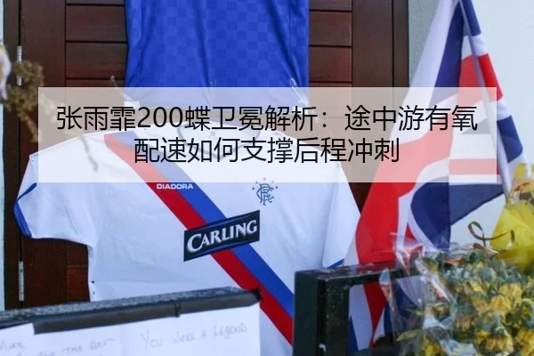 zhang-yu-fei-die-wei-mian-jie-xi-tu-zhong-you-you-yang-pei-su-ru-he-zhi-cheng-hou-cheng-chong-ci-2-696.jpg